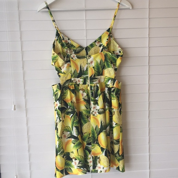 Show Me Your Mumu Dress - Picture 6 of 6